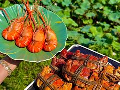 -七的湖·晚芳亭·阳澄湖农家菜·大闸蟹(莲花岛店)