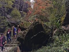 -梭布垭石林景区