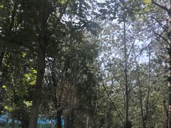-秦皇岛野生动物园