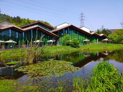 -西湖风景区-江洋畈生态公园