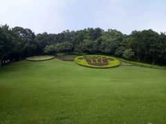 -小洲村