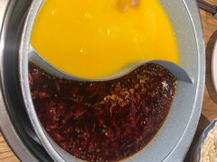 -青瓷火锅料理(西单大悦城店)