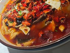 毛血旺-雲蜀龙阁·金牌水煮鱼(方庄店)