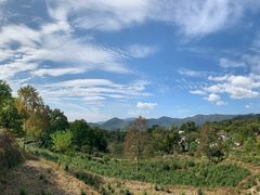 -塔川景区