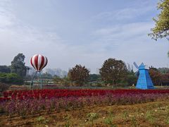 -南沙蒲洲花园