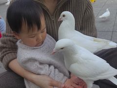-南昌动物园