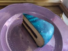 -Husky Go! 哈士奇体验馆·宠物咖啡厅狗咖