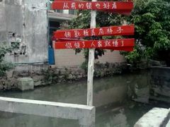 -小洲村