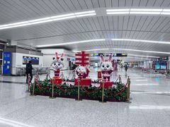 -石家庄正定国际机场-T2航站楼