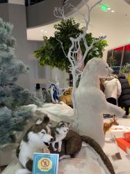 -IMON·HANSA潮玩玩偶毛绒玩具(通州万象汇店)