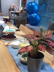 -卡莫瑜伽·普拉提