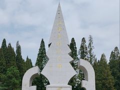 -水杉园