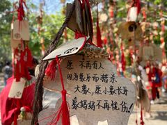 -野象谷景区