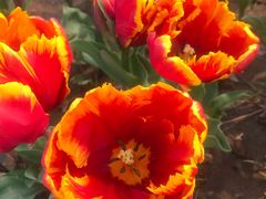 -廊坊文化艺术中心