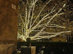 -北京市海淀外国语实验学校