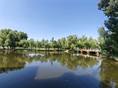 -银树楼(紫玉山庄东区店)