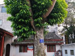 -徐悲鸿故居