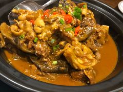甲鱼牛蛙锅-洪湘记川湘·甲鱼馆(四海凯悦美食广场店)