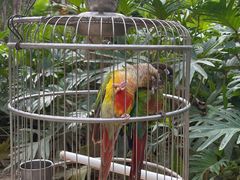 -南宫五洲植物乐园