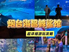 -烟台海昌鲸鲨海洋公园