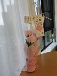 -东方幸福国际母婴月子会所