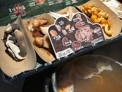 -芸山季·云南山珍菌火锅(人民广场来福士店)