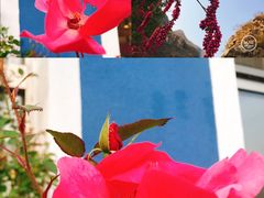 -百里峡七彩艺术小镇