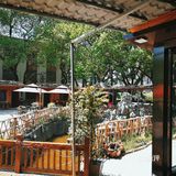 河西繁华中的宁静，近在咫尺的农家乐