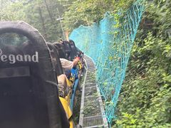 -沂蒙山旅游区云蒙景区(蒙山国家森林公园)