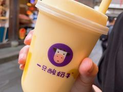 -一只酸奶牛(八一路店)