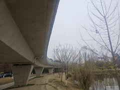 -白鹭湾湿地公园