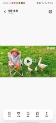 点击看大图 -娃娃拍儿童摄影(柳巷店)