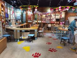 -Harry's Kitchen哈里小屋(上海大悦城店)