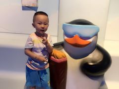 -芜湖新华联大白鲸海洋公园