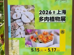 -瑞虹新天地月亮湾
