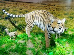 -北京麋鹿生态实验中心