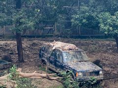 -常州淹城野生动物世界