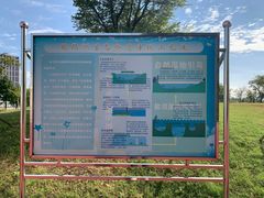 -鹦鹉洲湿地公园