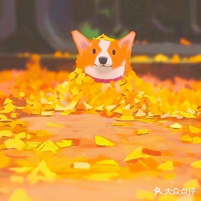 秋日里的狗狗