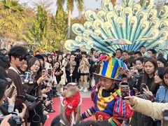 -灵玲国际马戏城