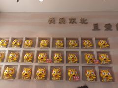 -遇东北林区铁锅炖(南开店)