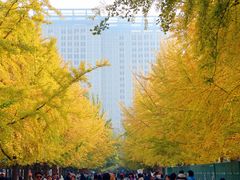 -辽宁大学(崇山校区)