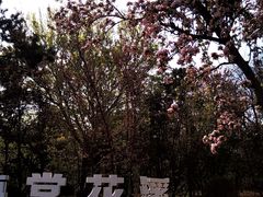 -元大都城垣遗址公园