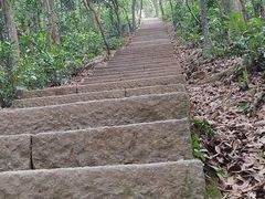 -梧桐山风景名胜区