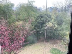 点击看大图 -金芙美月子中心(财富别墅店)
