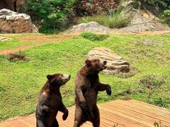 -海南热带野生动植物园