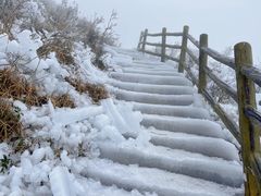-金子山原生态旅游风景区