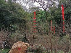 -桃花涧