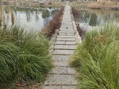 -桂溪生态公园