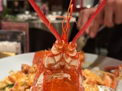 -皇朝会.经典传统粤菜(外滩店)